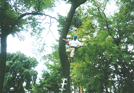 心和む空間でまったり癒しの時間をお過ごしください