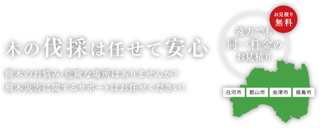 木の伐採は任せて安心。樹木のお悩み・危険な場所はありませんか？樹木災害に関するサポートはお任せください！